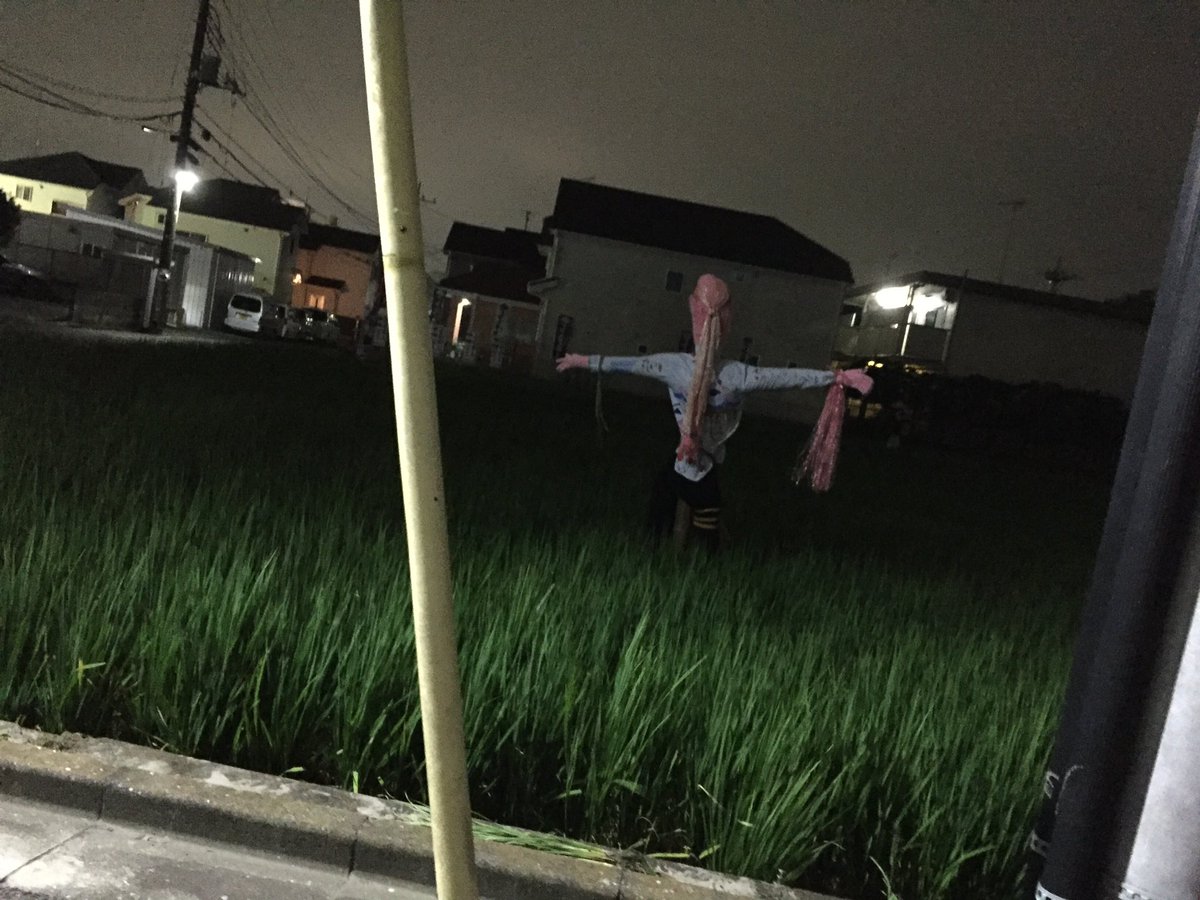 ビビりすぎてエンストしたまじでこわかった