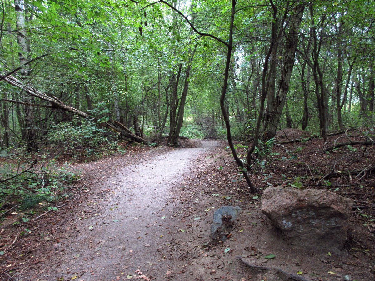 NittaLinds's tweet image. Pornaistenniemi, Helsinki, Finland, 2.9.2019 🌳🍃🍂🍁
#Pornaistenniemi #Luontopolku #Naturepath #Helsinki #Finland #Early #Autumn