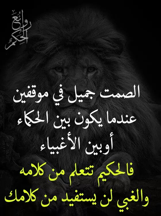 . (@samaa204) on Twitter photo 