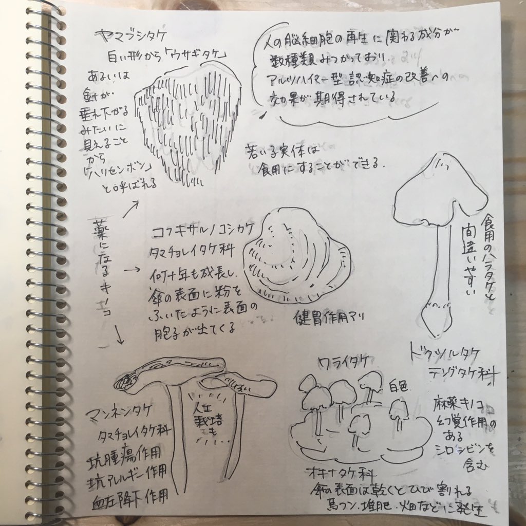 キノコと地衣類のほう
いっぱいメモした📝 