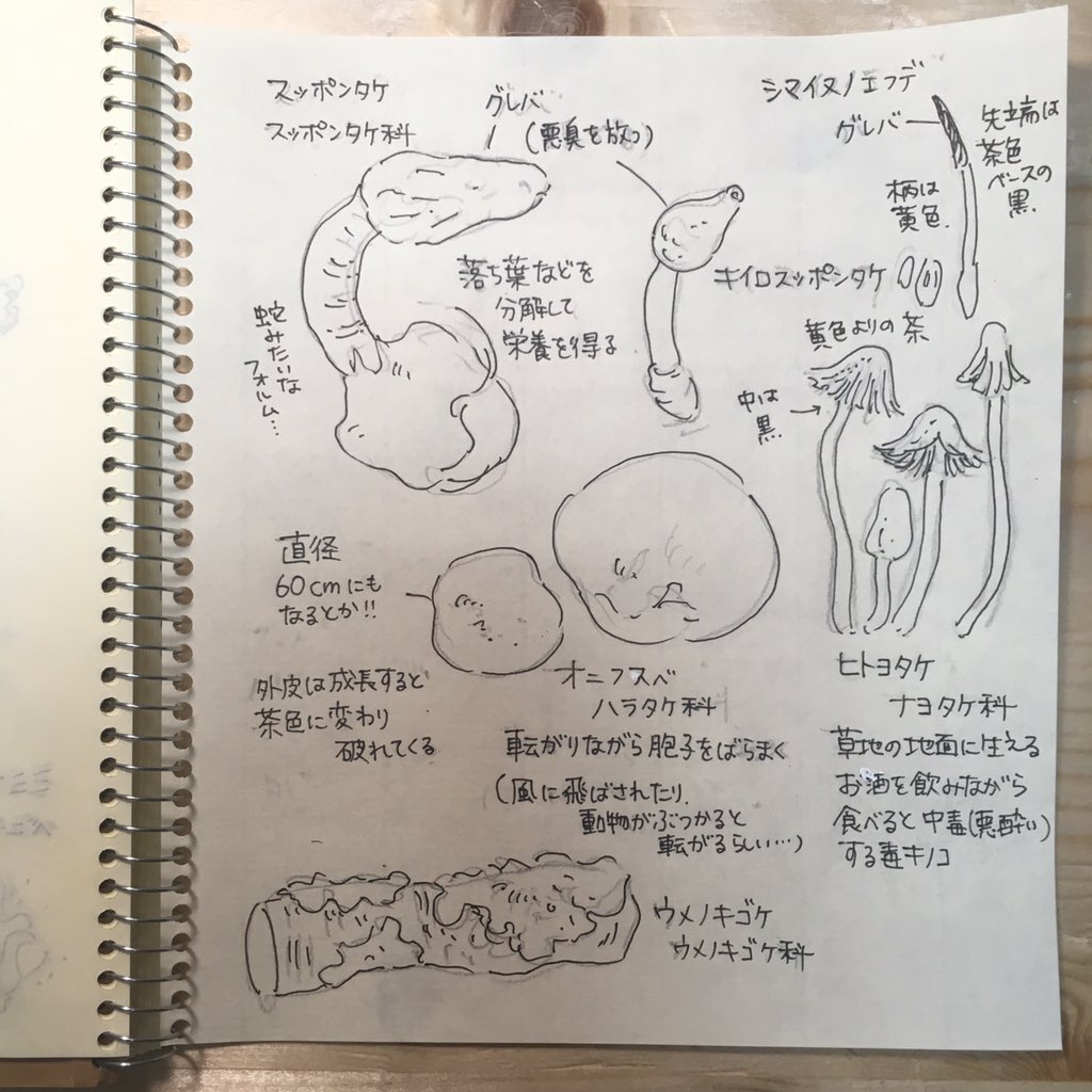 栃木県立博物館行ってきました。 