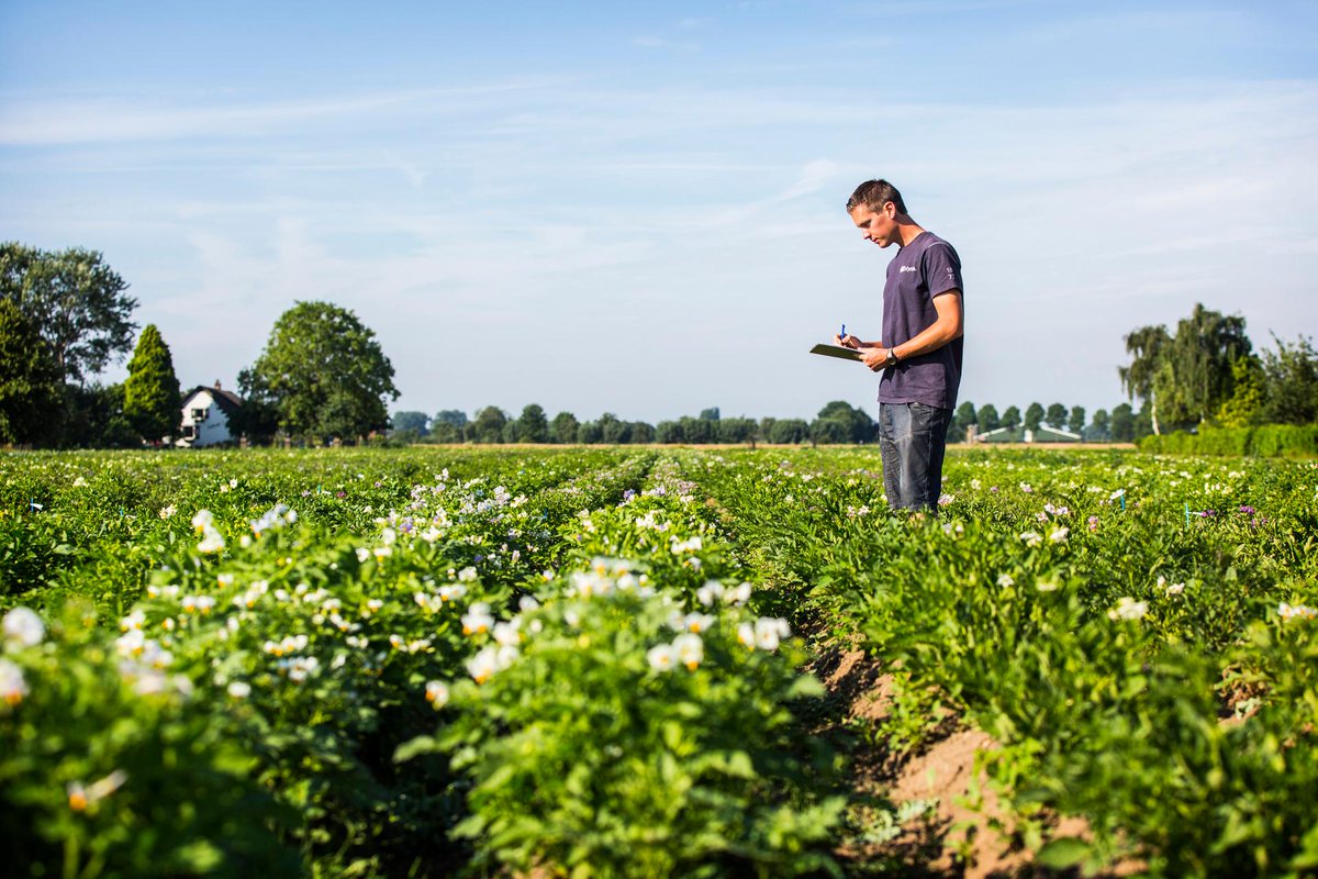 Startende jonge boeren, tuinders en financiers kunnen zich gaan voorbereiden op deelname aan het Jonge Boerenfonds: op 1 januari 2020 wordt de regeling opengesteld. rijksoverheid.nl/ministeries/mi…