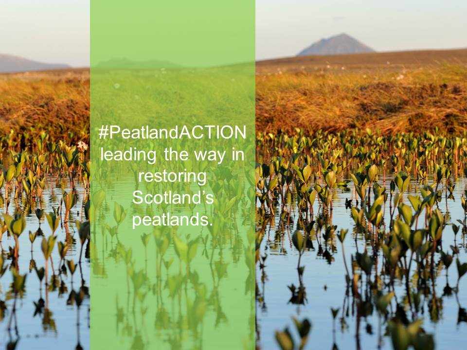 What have peatlands ever done for us?

As we head into autumn we'll be looking at how #peatlands help us.

What do you think are the benefits of peatlands? 🤔

#peatlandbenefits
#peatlandrestoration
#scotnature