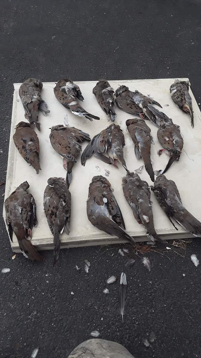 Things that make your day! #prouddad #HuntingSeason #Daddyslittleprincess