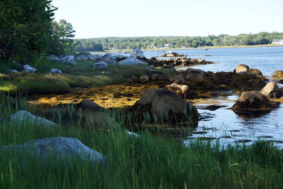 The 370 million-year-old "Scotia Grey"  #granite at the  #Shelburne Island Park  #Quarry helped build many other  #NovaScotia buildings including Shelburne Post Office and the old  @chronicleherald building.Today, the quarry is part of the Islands Provincial Park. #nspoli  #Halifax