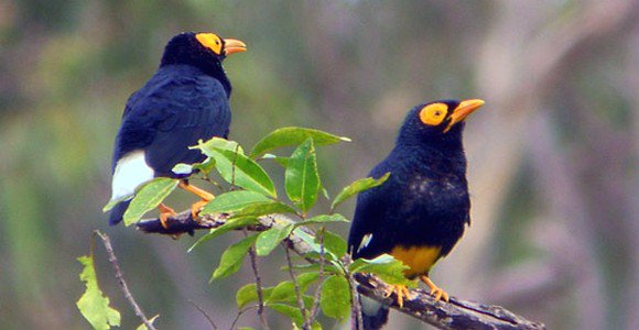 Caramelatih Hashtag On Twitter