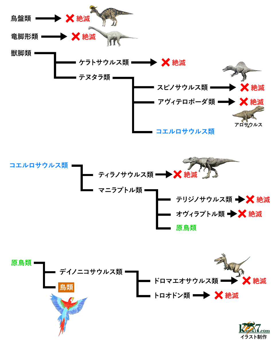 ロコのオ姉チャマ A Twitter 始祖鳥として化石で発見されたものです 周りに羽毛のようなのが見えるのが特徴です 画 Nationalgeographics 始祖鳥 鳥類の先祖