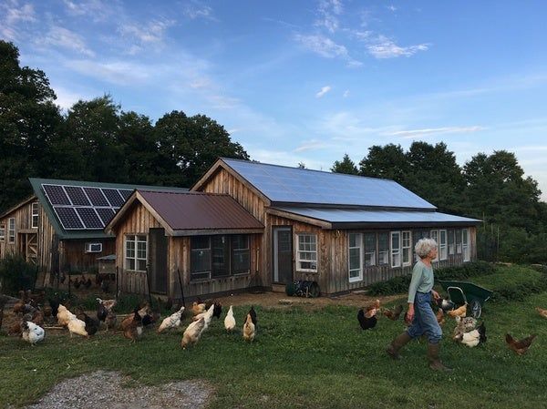 moonsgrovefarms's tweet photo. "We must overhaul our food system." @ScientificAmerican takes on #farming problems and the decline of nutritional values in produce and calls for a "Microbiome Renaissance." #microbiomes #agriculture #foodscience #farming #cleanfood #organicgardening https://t.co/r0gGHnrDzX https://t.co/3aOCFP0vtE