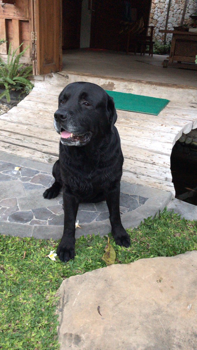 Mayvi (@mayvianjaswari) on Twitter photo 