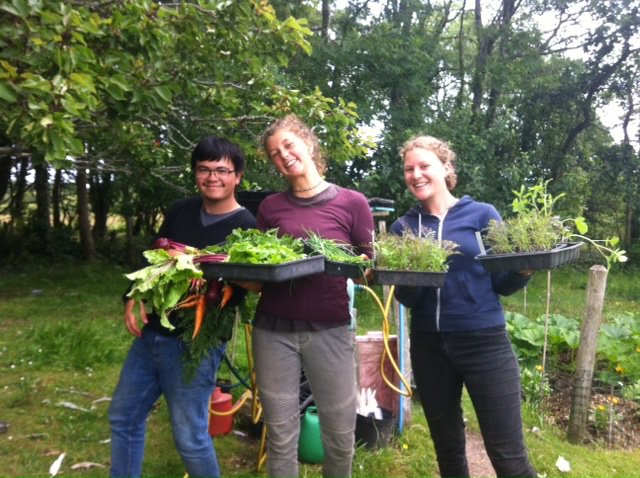 WWOOFUK's tweet photo. @WWOOFUK represents 100's of #organic farmers, gardeners & landowners in the UK who are diversifying their land for the benefit of the environment and opening their doors to 1000's of #volunteers; seeding change.
https://t.co/VPHmFyqJbV
#TryOrganic
#OrganicSeptember https://t.co/xAQRWKTbX9