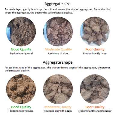 A practical guide to managing soil structure  more information at bit.ly/2YVH9h1 <a href="/teagasc/">Teagasc</a> #teagascjc