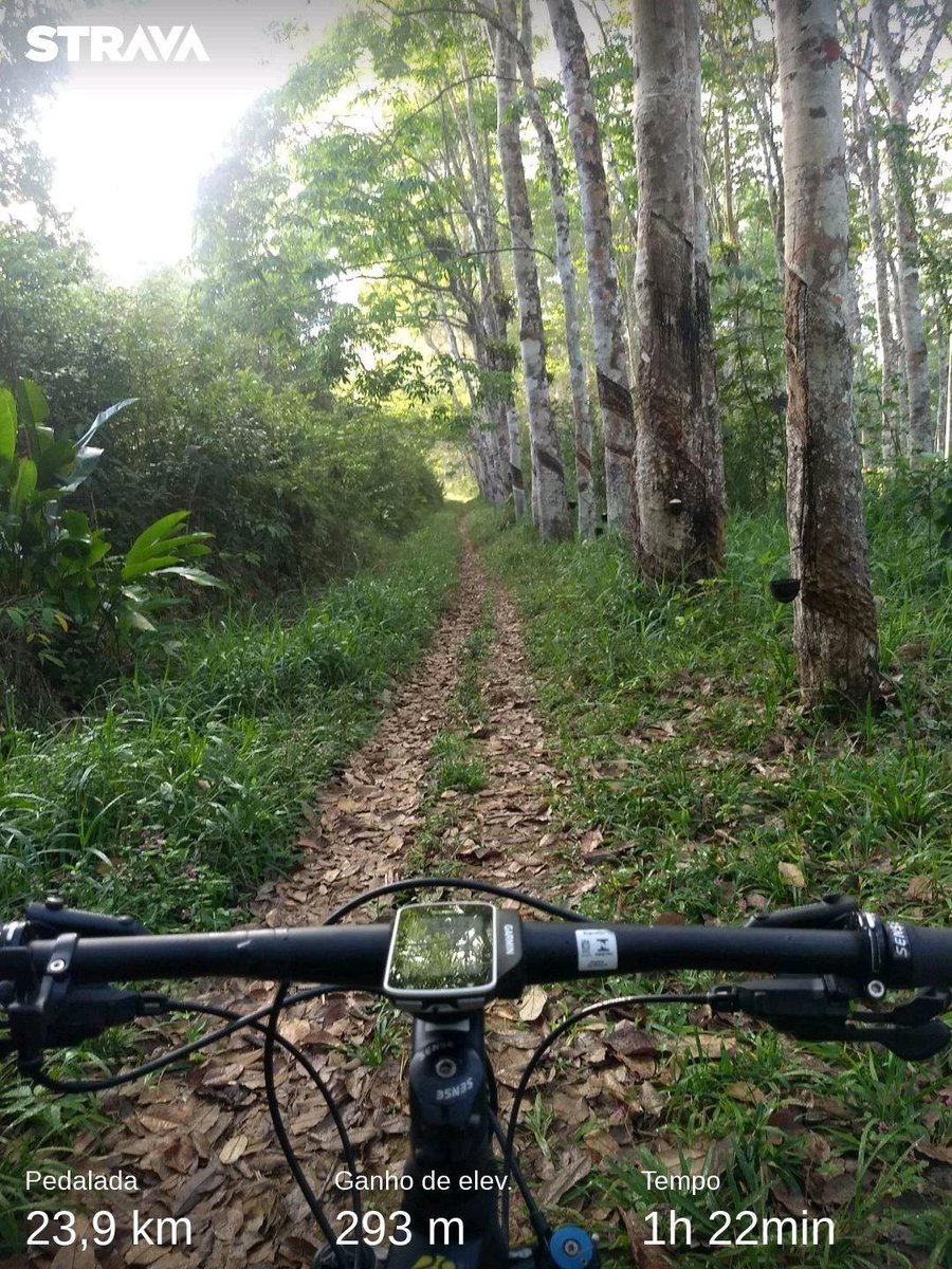 Confira minha atividade no Strava: strava.app.link/b9bfnyRgGZ