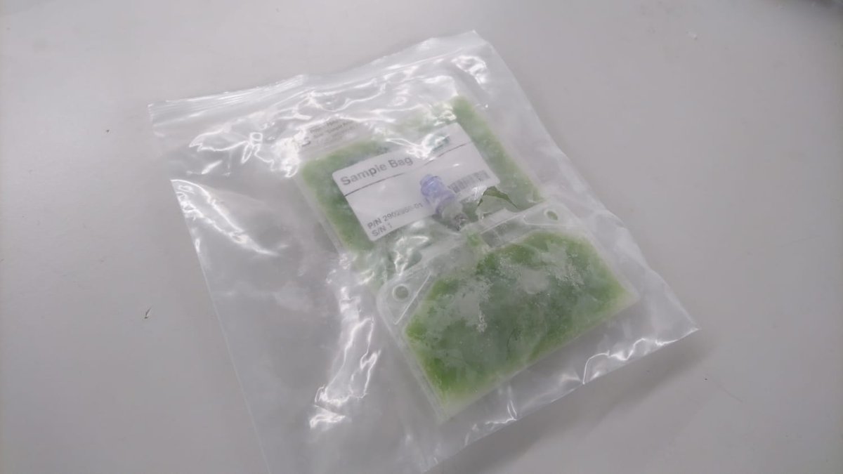 We got a delivery from #space! Some #microalgae samples from the International Space Station <a href="/Space_Station/">International Space Station</a> are back at the <a href="/Uni_Stuttgart/">Uni Stuttgart</a> IRS! Read more here: ow.ly/9zr050vULHN (link in German)
#photobioreactor #ISS #chlorellavulgaris <a href="/DLR_de/">DLR_de</a> <a href="/AirbusSpace/">Airbus Space</a>