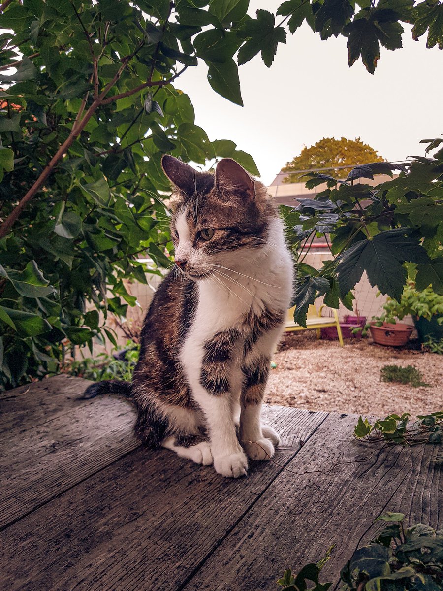 ThomasBrandd's tweet photo. Je me suis essayé à Lightroom cet été je trouve ça vraiment trop cool https://t.co/VNl1ySvHZa