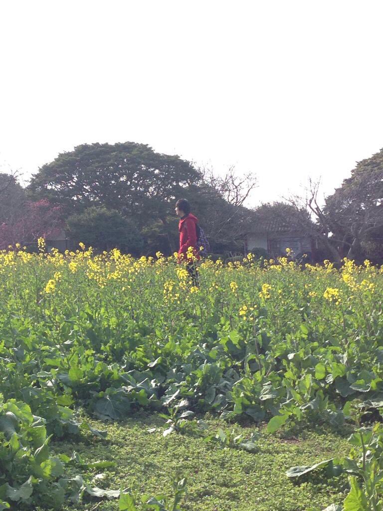 Leaer0807's tweet photo. 【告知】#りんかねっ
「Reincarn@tion!! 」りんかねっ!! 〜vol.1〜
10/5(土)13:00〜 @両国あるけみっ!!
https://t.co/lKItk1OxL6

▽Guest DJ
朝倉P
KaZ
terrace
I・G・A

▽Resident DJ
ゴッツLO
alumina
Leader

演者一同大い盛り上げて参ります💪 https://t.co/s8IhGADJzl