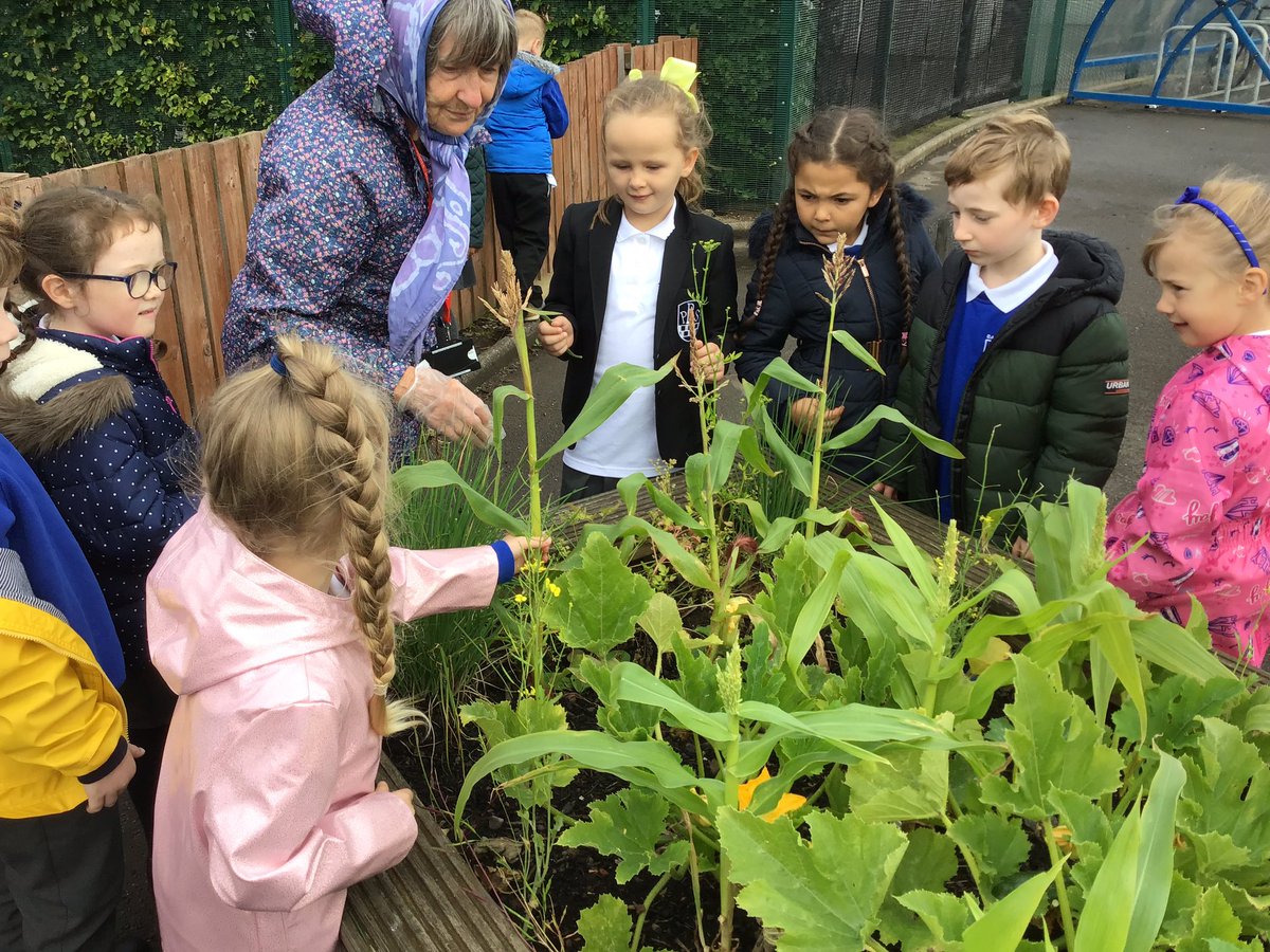 We had so much fun and learned lots about all the different kinds of food and herbs that Mrs M is growing in the school garden! #bantkitchen #bantoutdoor