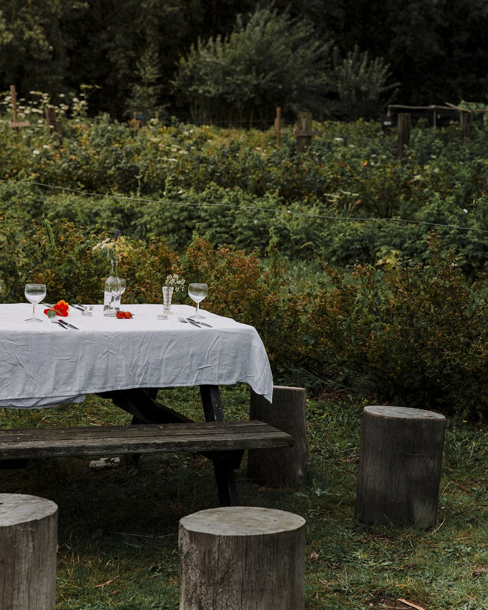 This will be a lovely evening — our first farm feast, featuring the best of our our late-summer crops and a focus on our nature connection work. Local drinks, late fires, s’mores … Tickets nearly gone!  eventbrite.co.uk/e/rock-farm-fe…