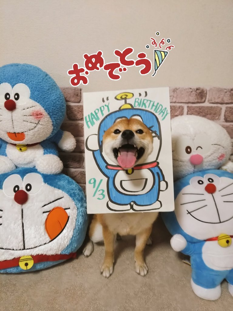 顔ハメシリーズ 顔ハメシリーズ