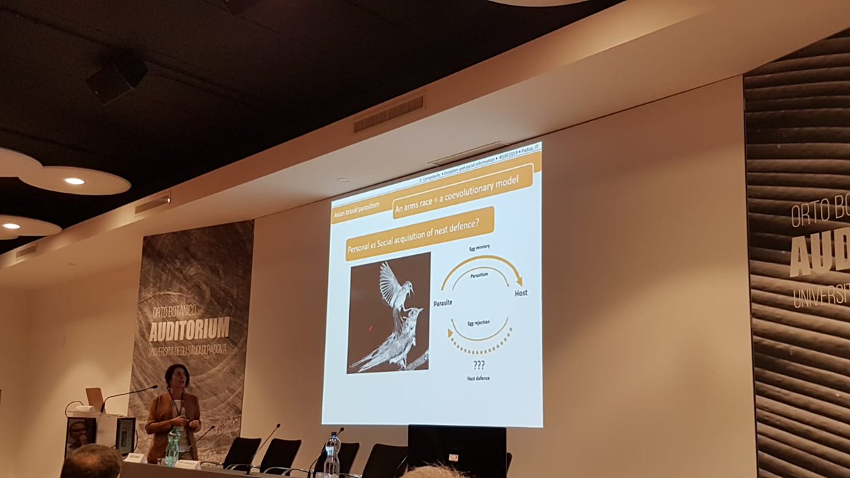 sibe_iseb's tweet photo. @Social_Beasts Daniela Campobello at #Sibe2019 on the evolutionary consequences of social transmission in avian brood parasitism systems. Fascinating talk!
#plasticity #extendedphenotypes #reproductivestrategies #armsrace #coevolutionarymodels #nestdefence https://t.co/gwwSiwtQW4