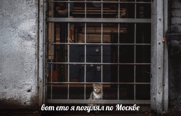 EDin8pmWsAEEyDr?format=jpg&name=small
