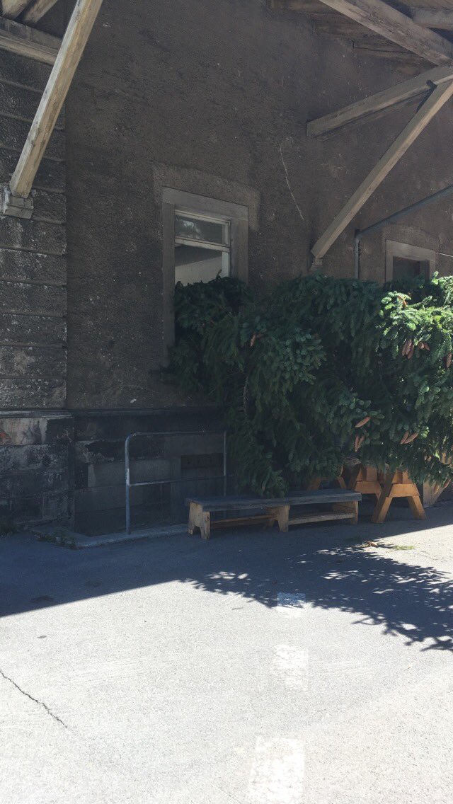 Just an ordinary tuesday in Glarus...

#glarnerland