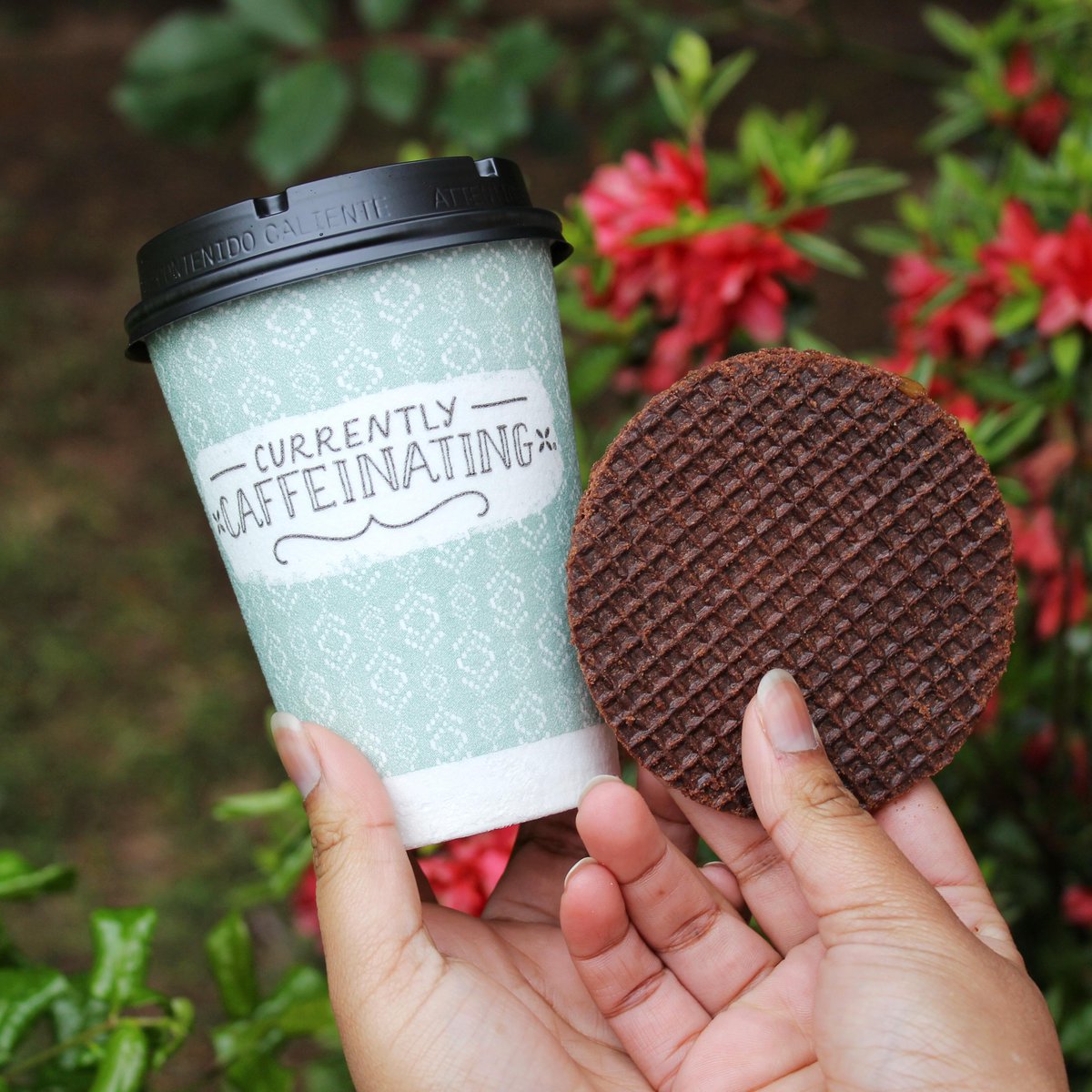 DaelmansUS's tweet photo. You might need this today!
#BACKTOSCHOOL #Daelmans #stroopwafels #coffeesbestfriend #coffee #caffeine https://t.co/iXB1LX7rUJ
