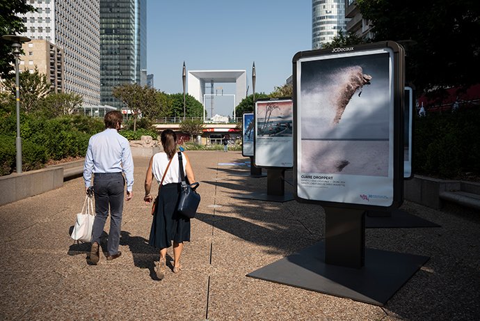 claireonline's tweet photo. One month left to visit the free open air exhibition ‘L’aire des espaces d’Air’ at La Défense in Paris, where two of my works from Sand Creatures series are exhibited! Find more information here: https://t.co/6uToAbzlKR
#sandcreatures #fineart #gravity #art #photography #paris https://t.co/YwPRTIRCfR