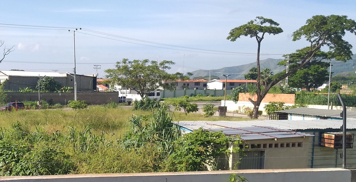 trigaldsd1's tweet photo. Señores @Alc_SanDiego ¿existe una autoridad que pueda poner solución a esta situación? EXCESIVO monte en terreno privado que perjudica a los vecinos de nuestra urbanización Trigal de San Diego https://t.co/6CvEyOq5M8