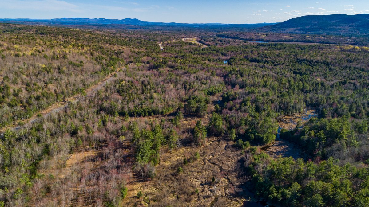 Brie Stephens- Lake Life Realty tweet media