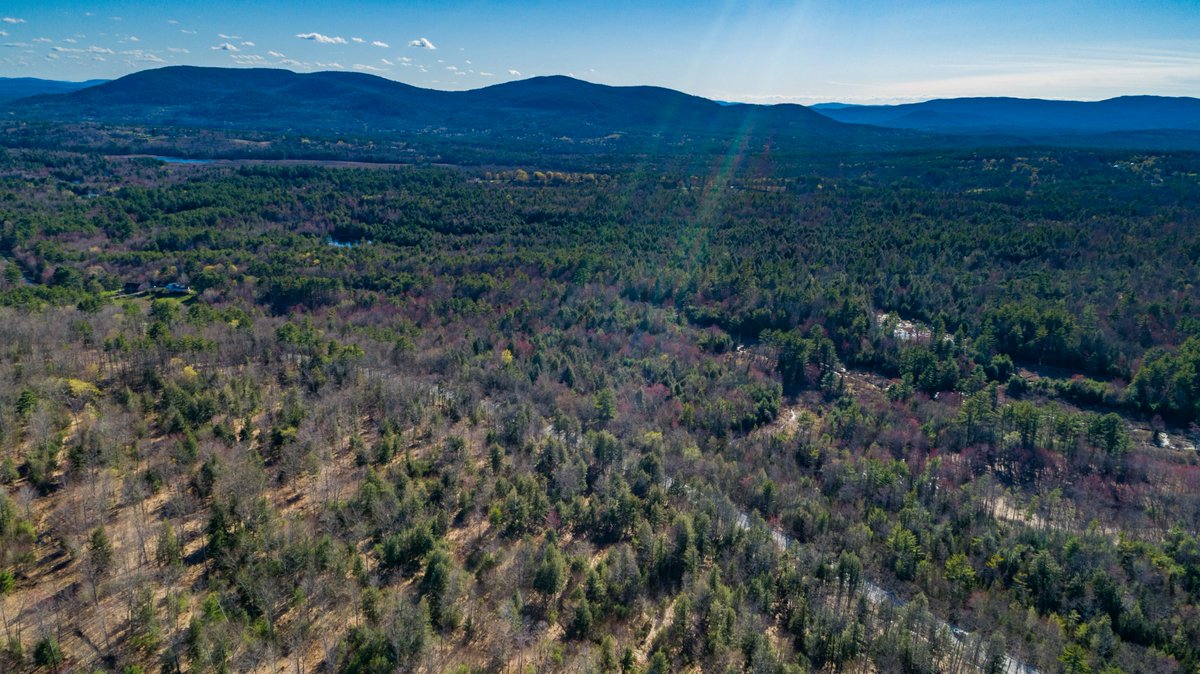 Brie Stephens- Lake Life Realty tweet media