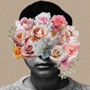 SGFringe tweet media