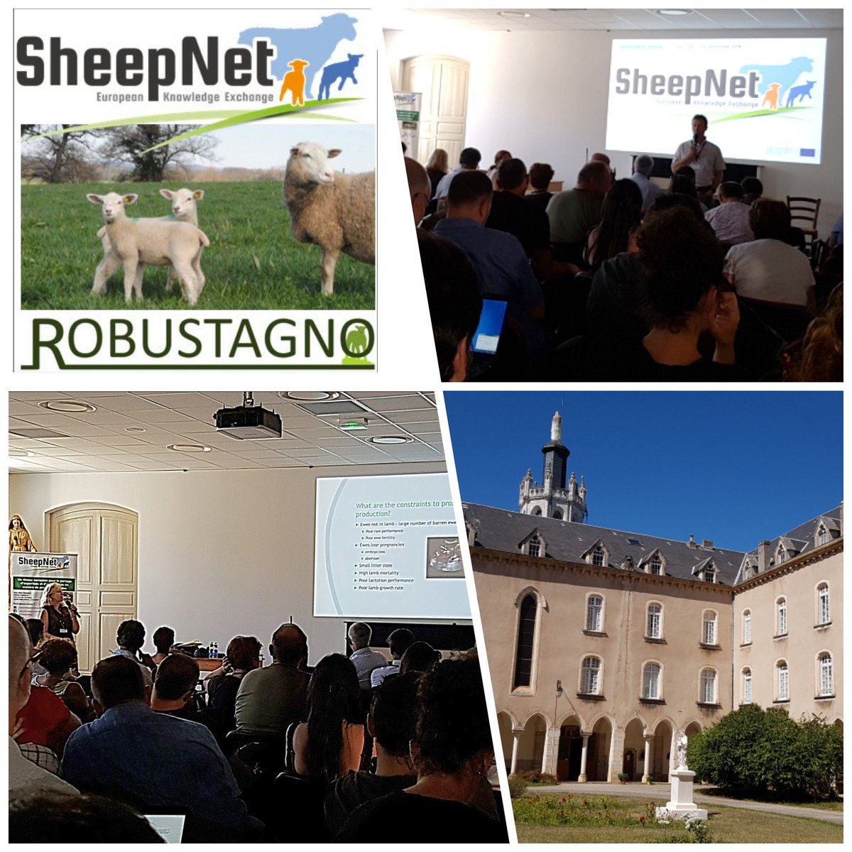 GermainTesniere's tweet image. Begining of the final seminar of @SheepNetEU 🇪🇺 with @GautierIdele and @ProfCMDwyer from @InstitutElevage and @SRUC presenting Sheepnet story, at the beautiful &quot;Grand couvent de Gramat&quot; ⛪ #Gramat #Sheepnet @EU_H2020  @EUAgri