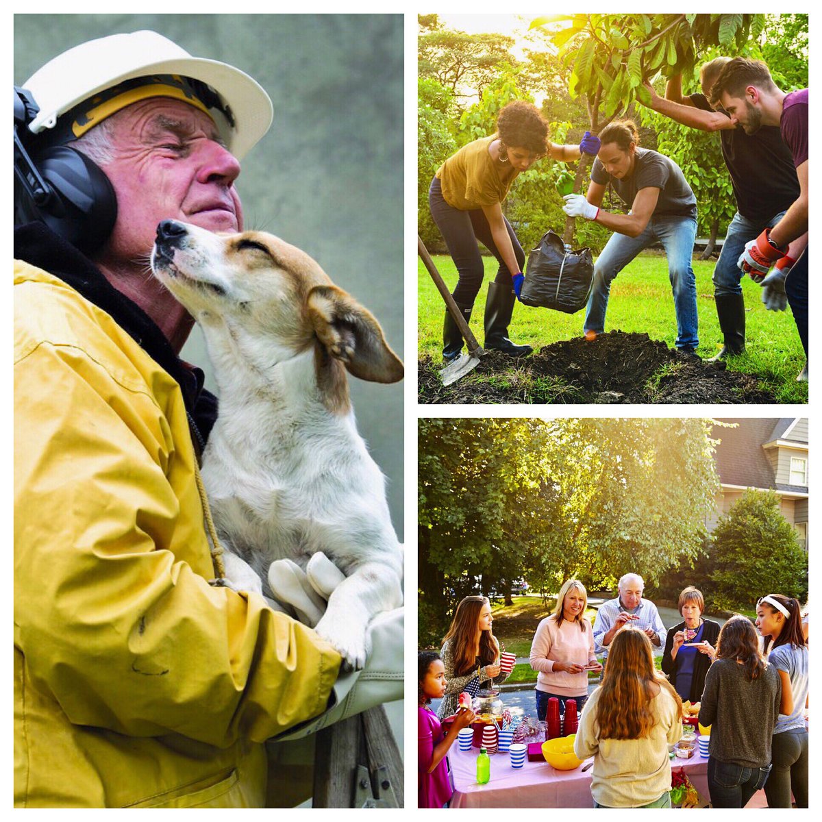 How To Build Community ... Help a lost dog ...Plant flowers ....Look up when you’re walking ...read Sept Publisher’s Desk InsideSacramento.com