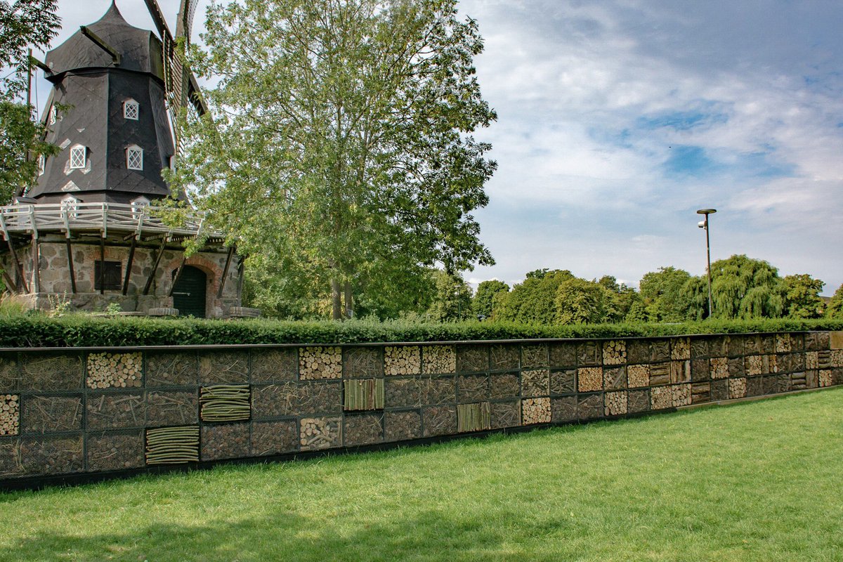 NigelDunnett's tweet photo. Perhaps the longest habitat wall anywhere, in the Castle Gardens public park, Malmø, Sweden. A great example of ‘Artful Ecology’: made with precision, neat and smart. Just the thing to bring these features up-front and in highly visible positions https://t.co/WCjIC0TjS8