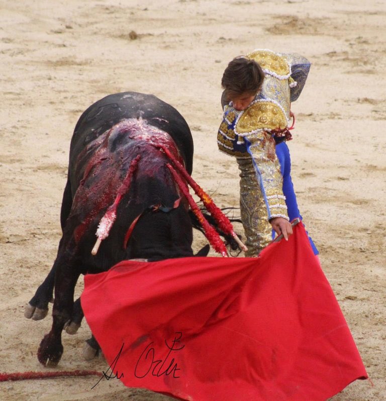 Daniel Barbero tweet media