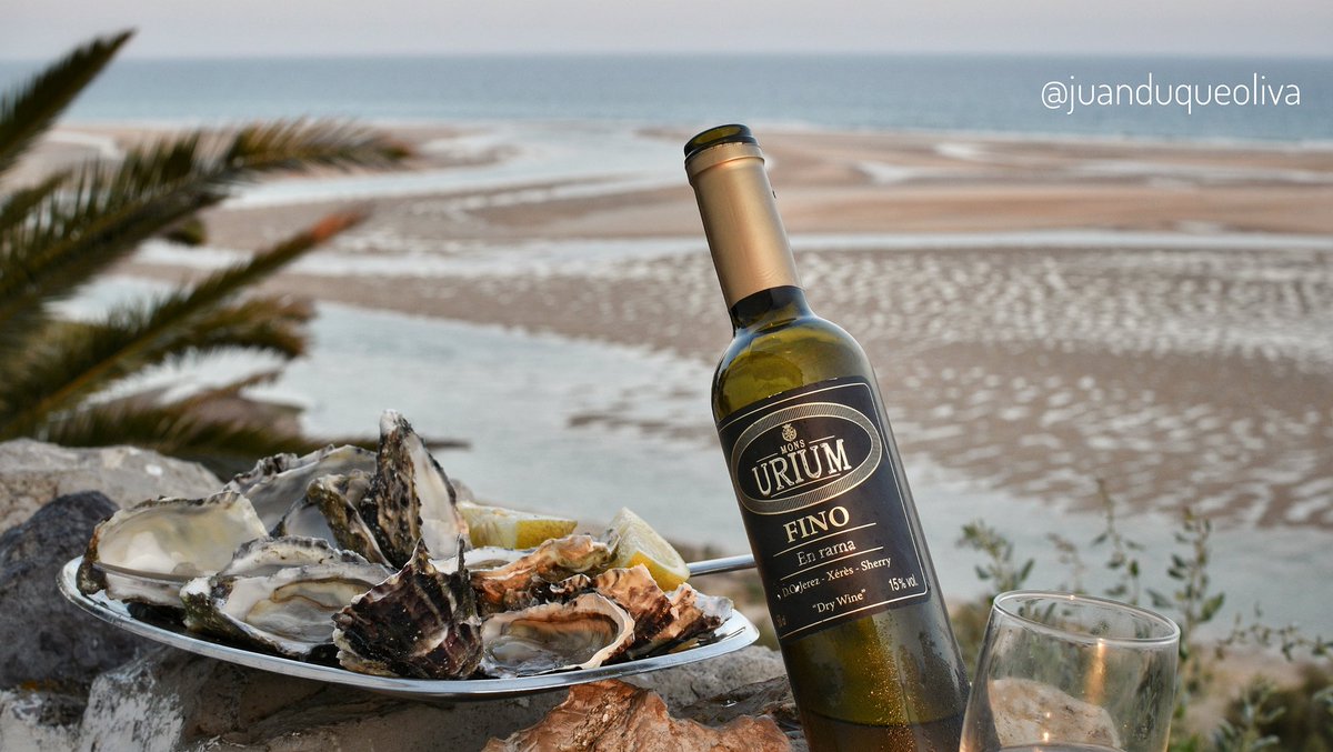 juanduqueoliva's tweet photo. Ostras y #FinoenRama #Urium
@BodegasUrium @VinosJerez
#RiaFormosa #Algarve #Portugal https://t.co/tvWMnyiXlp