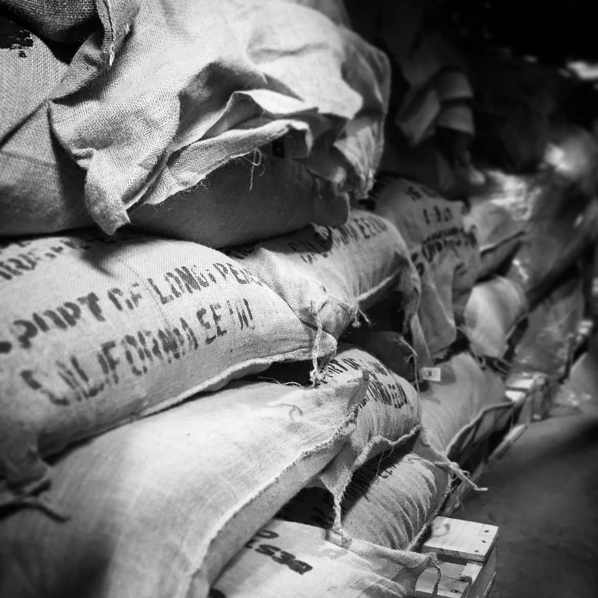 joacocoa18's tweet photo. Be sure to check out our cacao from Naranjal, Ecuador 🇪🇨 now available through our friends at https://t.co/OeOgBAMInu!

#cocoa #cocoabeans #cacao #finecacao #cacaofino #chocolate #chocolatemaker #ccn51 #nibs #cocoapowder #cacaobrew #cacaotea #naranjalecuador https://t.co/AlJ4sQSjJW