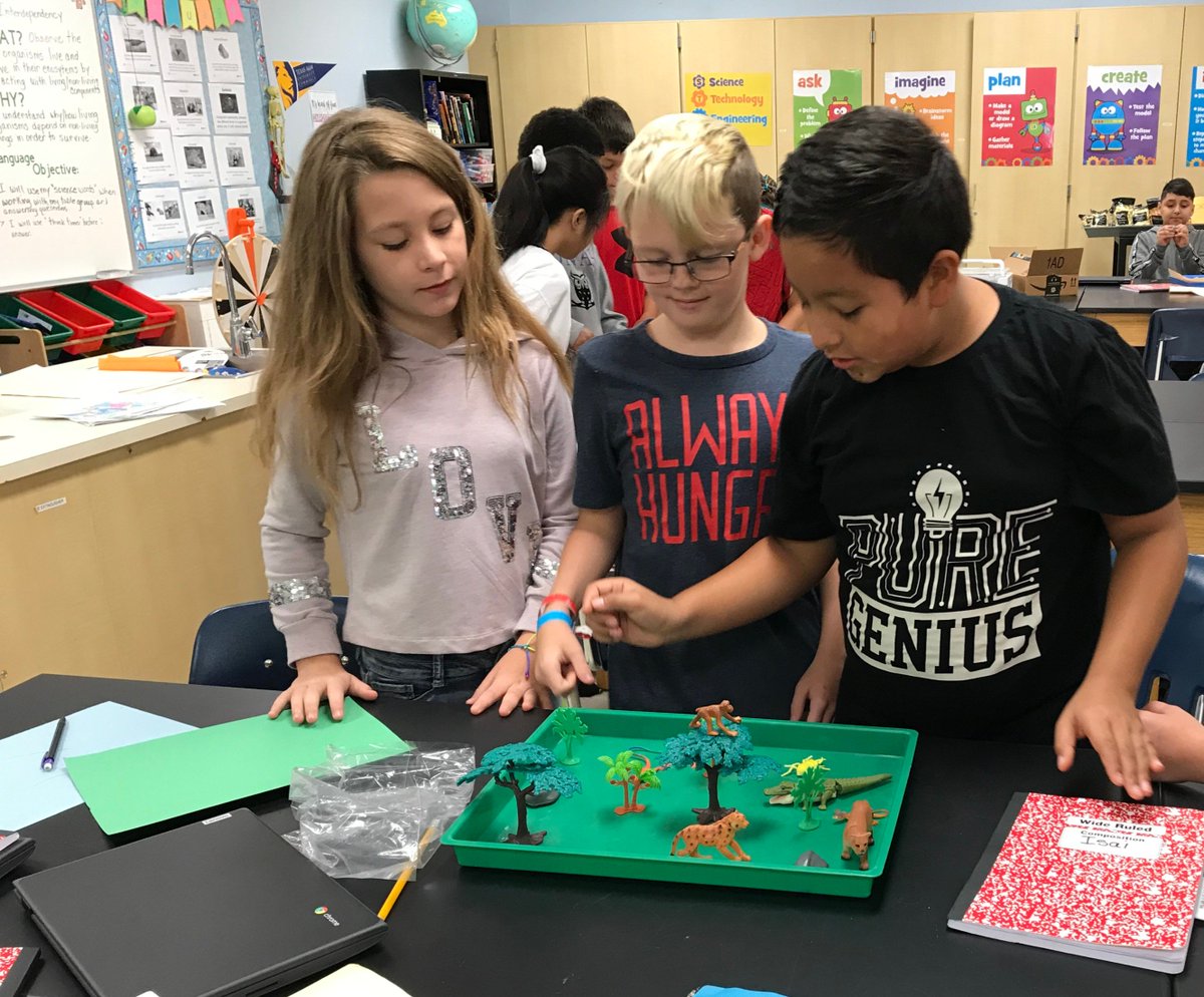 BensBranchElem's tweet photo. Fifth grade finished up their unit on ecosystems last week.  Groups created dioramas of the different types. #NCISD #bbechat https://t.co/qrc9XAgz0F