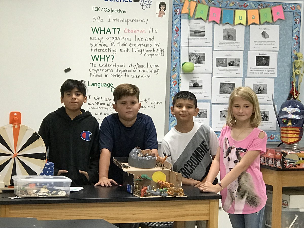 BensBranchElem's tweet photo. Fifth grade finished up their unit on ecosystems last week.  Groups created dioramas of the different types. #NCISD #bbechat https://t.co/qrc9XAgz0F