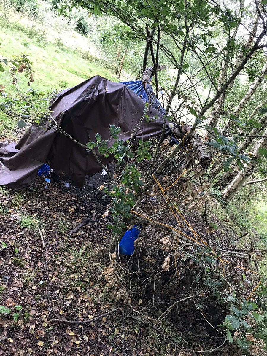 NNuthouse's tweet photo. @tellymix @BearGrylls, I love your name. 

Bear. 

Some names you just want to say over &amp; over again 
... anyway, still not got round to watching you with DW. 

Curious ... where did you sleep?
Did you make a cosy den like this?? ... https://t.co/32DXKxThBV