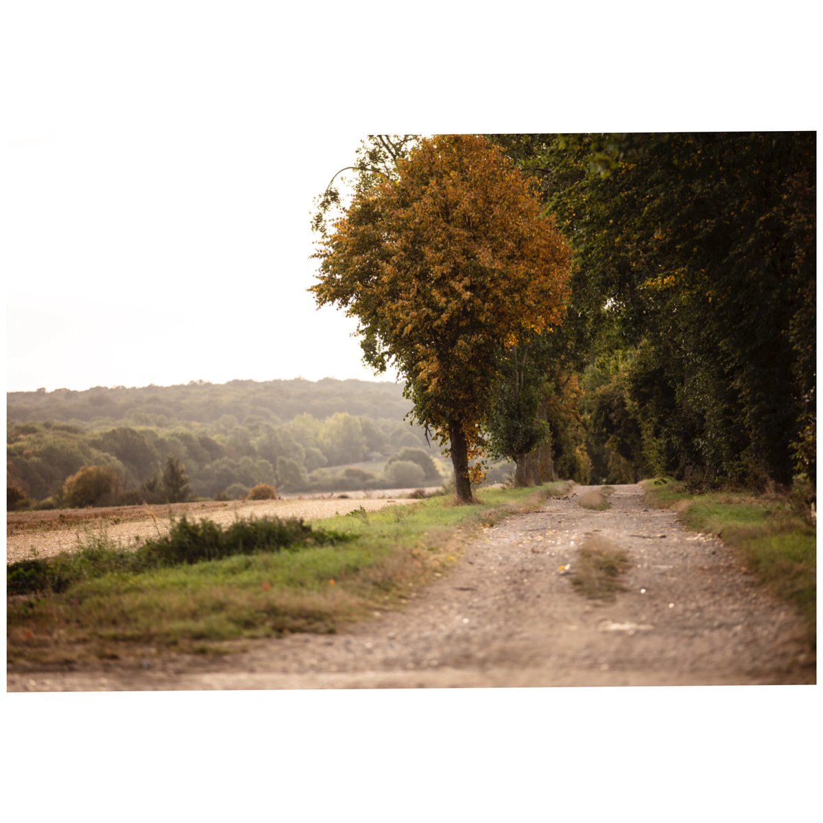 Nature! #SentwistleMoment

#Lifestyle #Goals #Brand

📷 by <a href="/lensandhound/">LENS & HOUND</a>