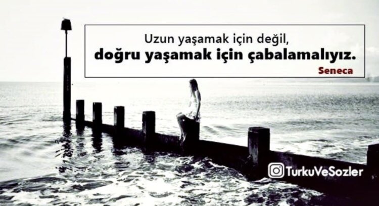 ibrahim cıvış (@civishalil) on Twitter photo 