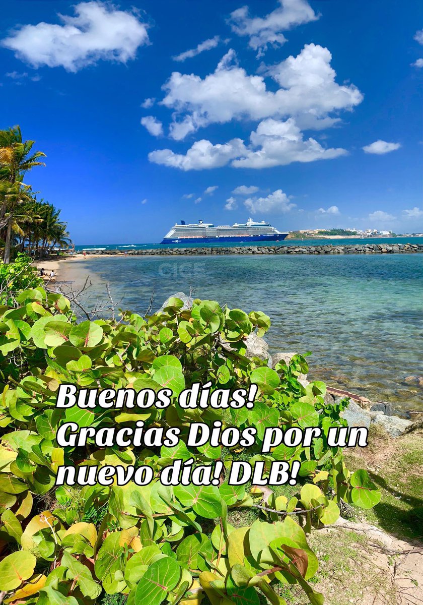AngelsRadioWeb's tweet photo. #goodmorning 🇵🇷🇺🇸
#ViajaConCabeza ✌️❤️🎼✈️ https://t.co/jzNy2yu8Rc