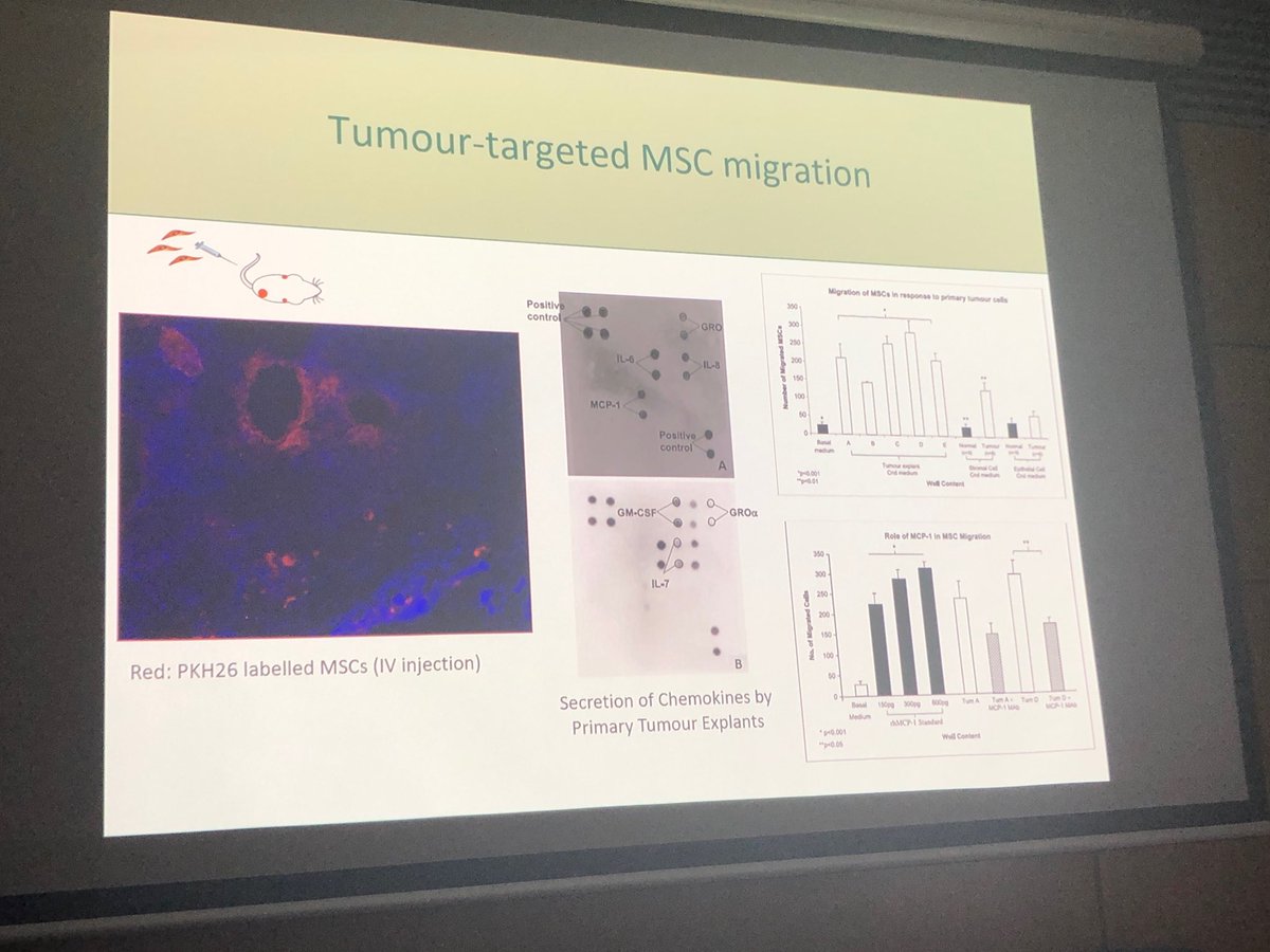 WaterfordMafia's tweet photo. Dr. Roisin Dwyer (⁦@nuigalway⁩ and ⁦@BREAST_PREDICT⁩ Funded Investigator) giving a stellar talk on harnessing intercellular communication for breast cancer therapy - was also ⁦@IrishCancerSoc⁩ Researcher of the Year 2012! https://t.co/q276CKh2jO