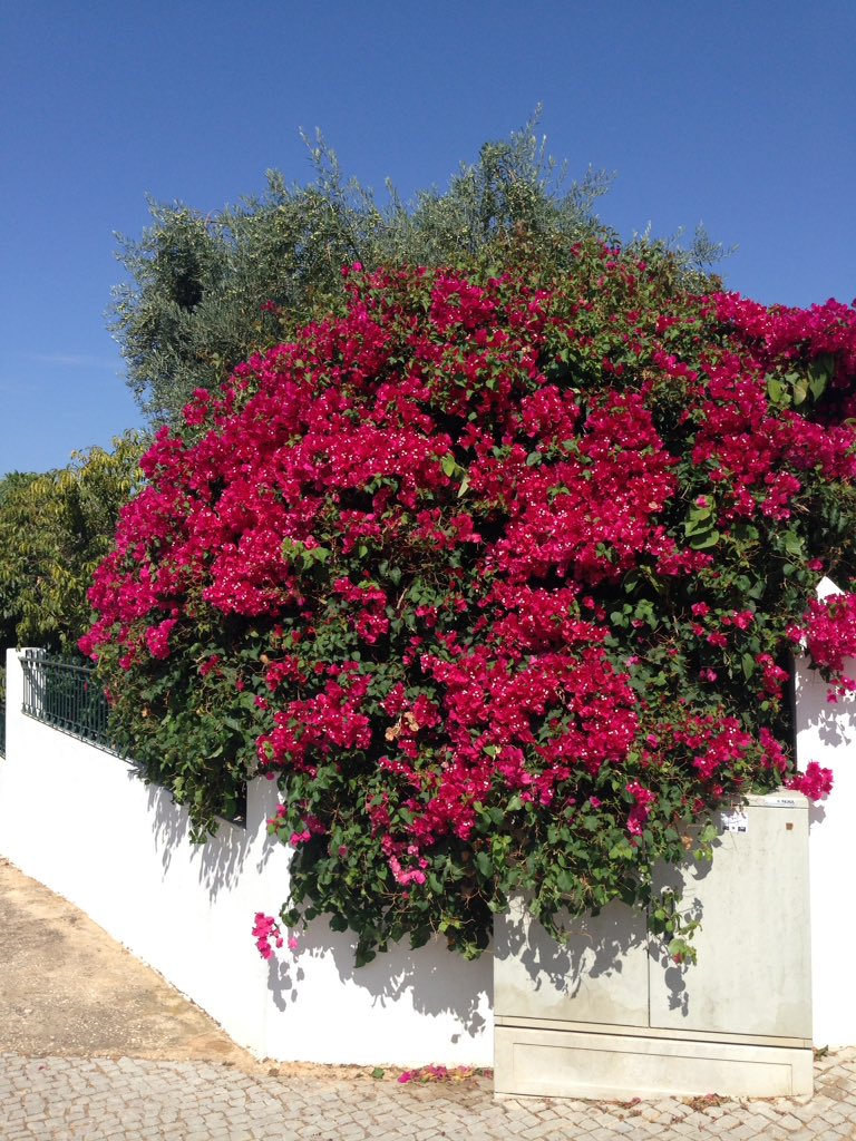 Executive Taxi Transfer from #Huddersfield to #Manchester Airport to #Faro Airport then tour around the Algarve see beautiful sites eat great food.