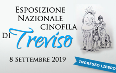 FiereSantaLucia's tweet photo. Dopo la pausa estiva riprende il programma fieristico #FiereSantaLucia con un evento dedicato agli amici a quattro zampe! 🐶🐩💛
INFO >> https://t.co/0LIhKtemFk https://t.co/leHXjoDqfG