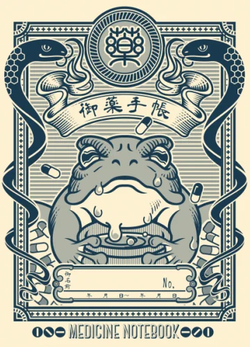 こっちのほうがいいかな、お薬手帳。 