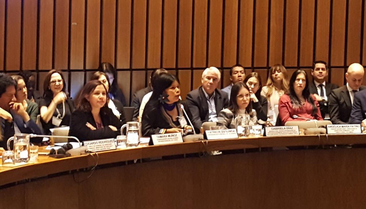 Profundo mensaje de Patricia Gualinga, representante de los Pueblos Indígenas en la IV #ConsultaLAC2019 sobre #EmpresasyDerechosHumanos “Nosotros estamos luchando por todas y todos ustedes. La conservación de la amazonía es la conservación del mundo entero”