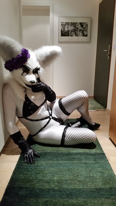Tight lingerie and fishnet for the fenfen.  What a naughty fenfen, always eager to show her assets 💜💜💜  Love<a href="/tag/furry"class="tags"><span>#furry</span></a><a href="/tag/nsfw"class="tags"><span>#nsfw</span></a><a href="/tag/zentai"class="tags"><span>#zentai</span></a><a href="/tag/yiff"class="tags"><span>#yiff</span></a><a href="/tag/fursuit"class="tags"><span>#fursuit</span></a><a href="/tag/fursuiter"class="tags"><span>#fursuiter</span></a>