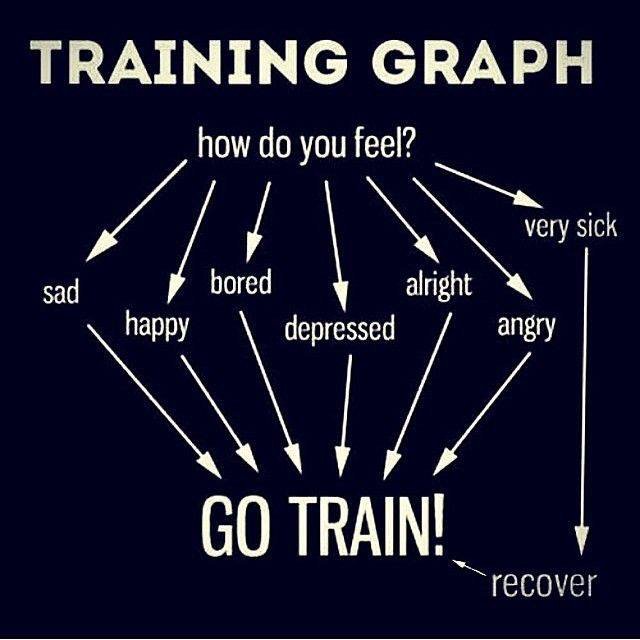 KentonMarArts's tweet photo. Classes Restart Today - Are You Ready???
#harrowckd #harrow #choikwangdo #martialarts #selfdefence #martialartsharrow #selfdefenceharrow #defencedrills #blocking #punching #kicking #striking #shieldattack #power #focus #technique #areyouready https://t.co/XBF9HkksAe